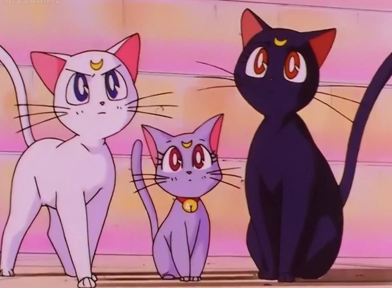 Artemis and Luna - Sailor Moon | 10 Iconic Anime Cats | Zestradar