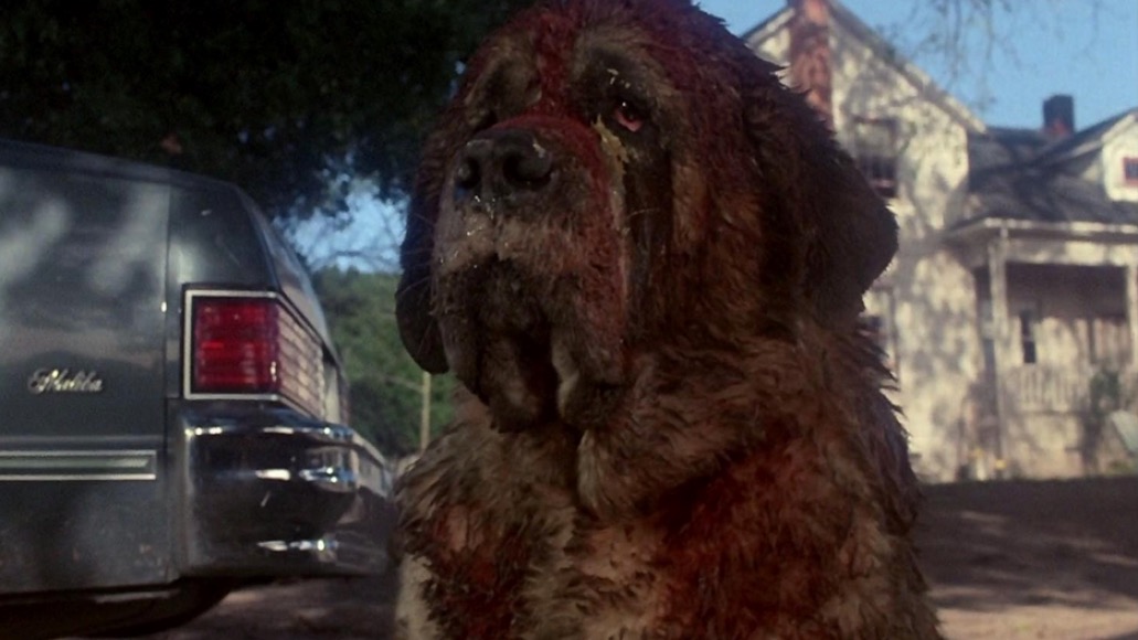 Cujo | 10 Most Terrifying Stephen King Villains From the Movies | Zestradar