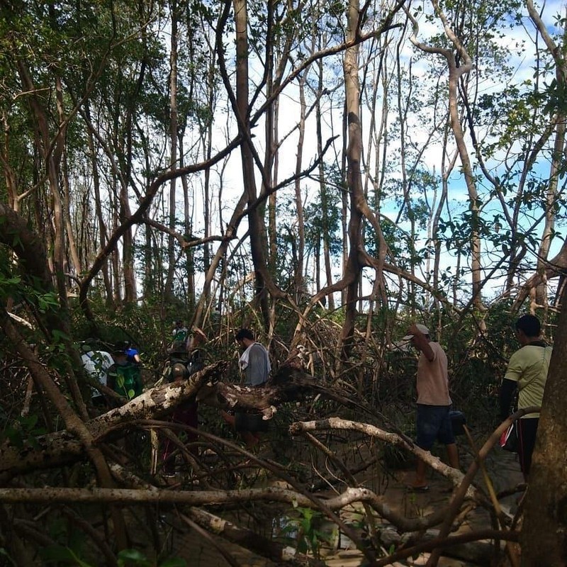 #5 | A Ten Ton Whale Washed Ashore In The Brazilian Amazon Forest | Zestradar