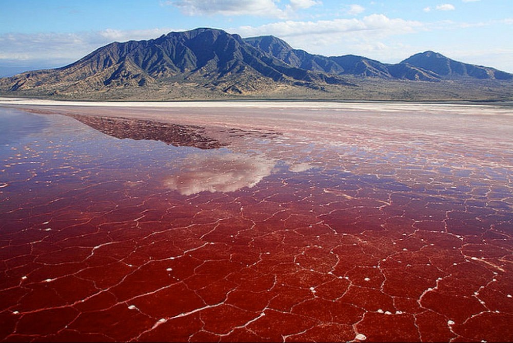 #1 | This Tanzanian Lake Turns Creatures Into Stone | Zestradar