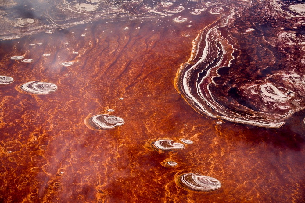 #2 | This Tanzanian Lake Turns Creatures Into Stone | Zestradar