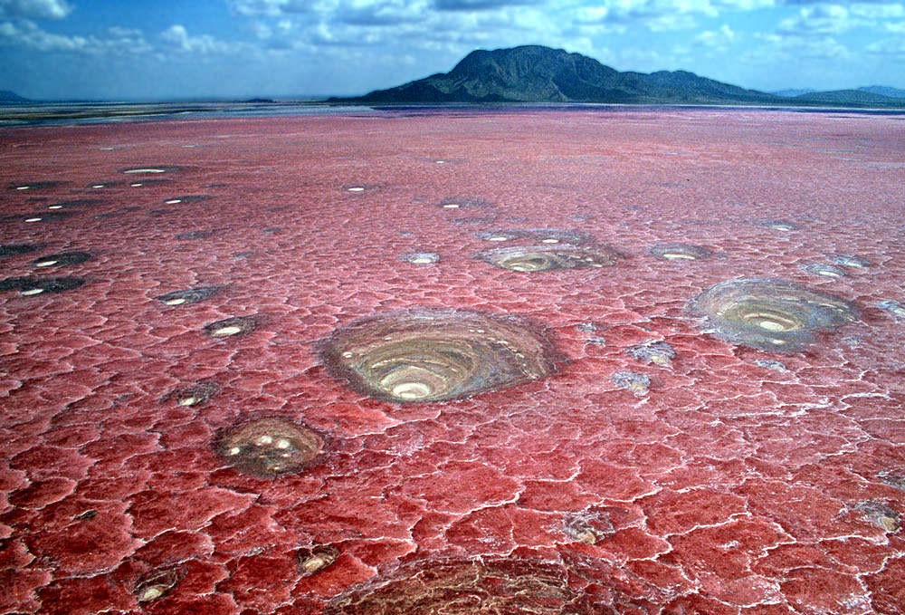 #3 | This Tanzanian Lake Turns Creatures Into Stone | Zestradar