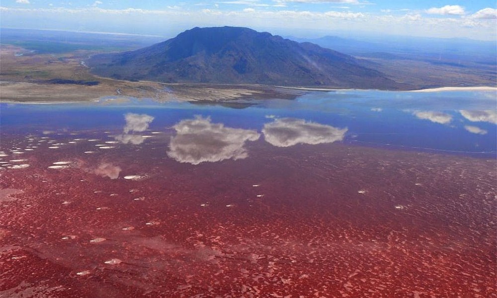 #4 | This Tanzanian Lake Turns Creatures Into Stone | Zestradar